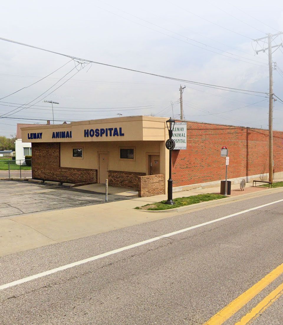 Lemay Animal Hospital entrance view