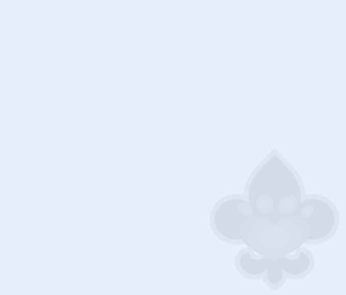 blue background header mobile